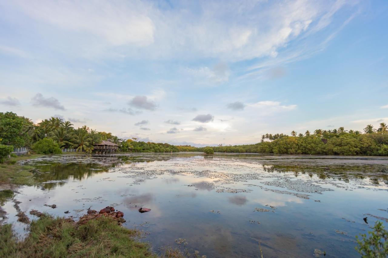 Rock Violet Lakefront Cabanas & Restaurent Tangalle Exterior photo